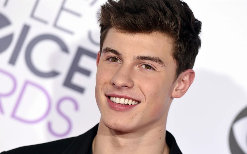 Shawn Mendes Biography